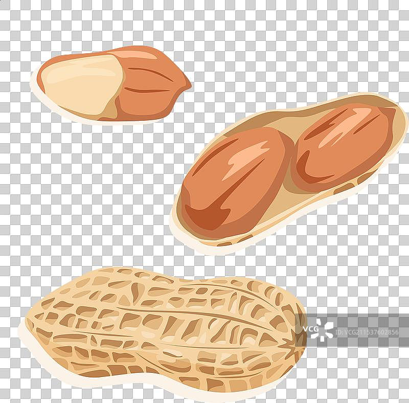带壳和去壳的花生图片素材