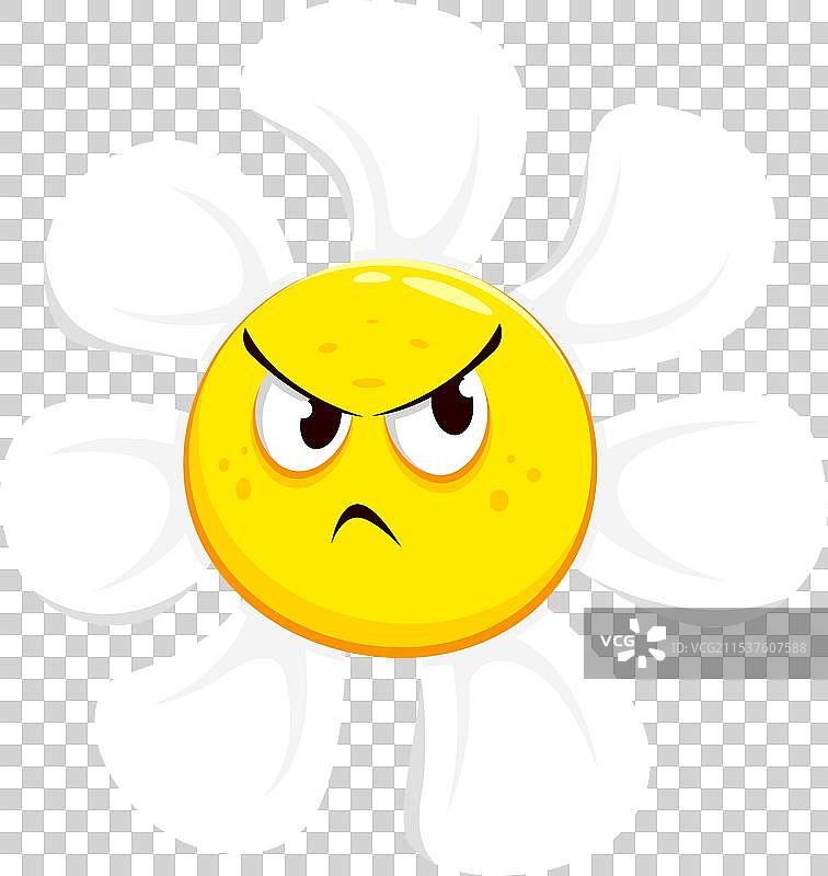 带有不满表情的卡通洋甘菊花图片素材