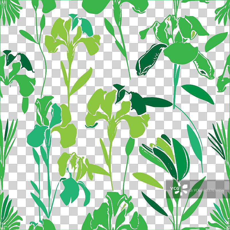 绿色鸢尾花图案抽象无缝色彩图片素材