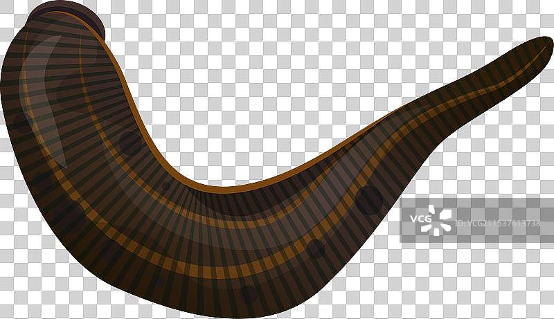 黑色水蛭替代医学吸血虫图片素材