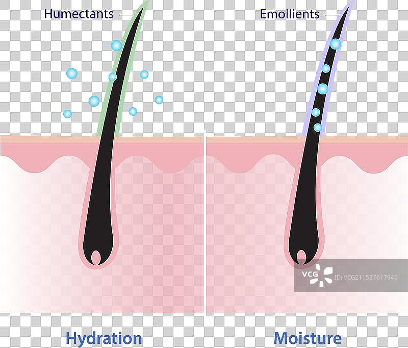 头发水分和头发湿润度的比较图片素材