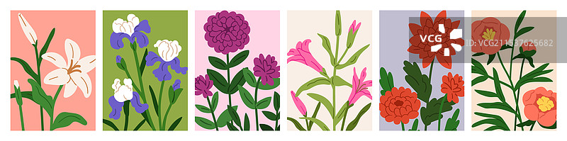 花卉卡片套装，花朵绽放，自然之美图片素材