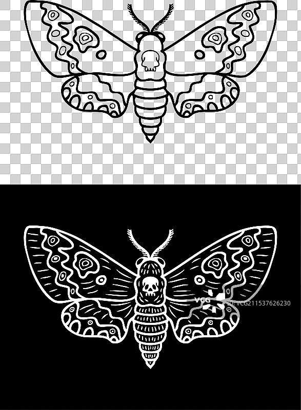 单色阿喀罗提亚夜蛾涂鸦图片素材