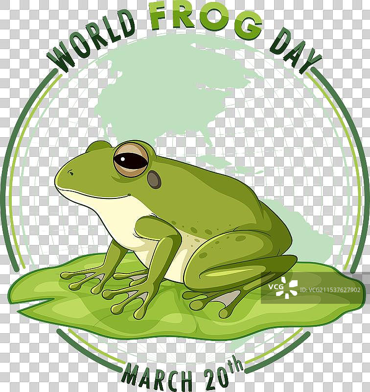 世界青蛙日的青蛙图片素材