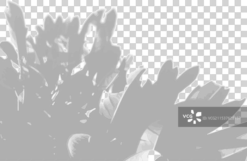 自然光从树叶投射出阴影图片素材