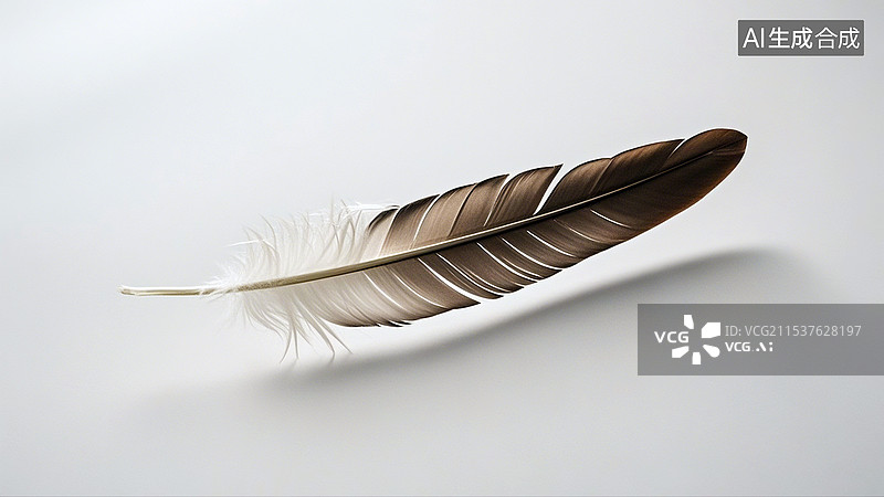 【AI数字艺术】一根羽毛白色背景图片素材