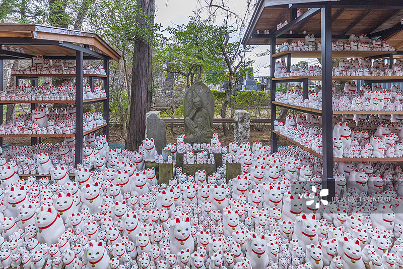 豪徳寺，东京，日本图片素材