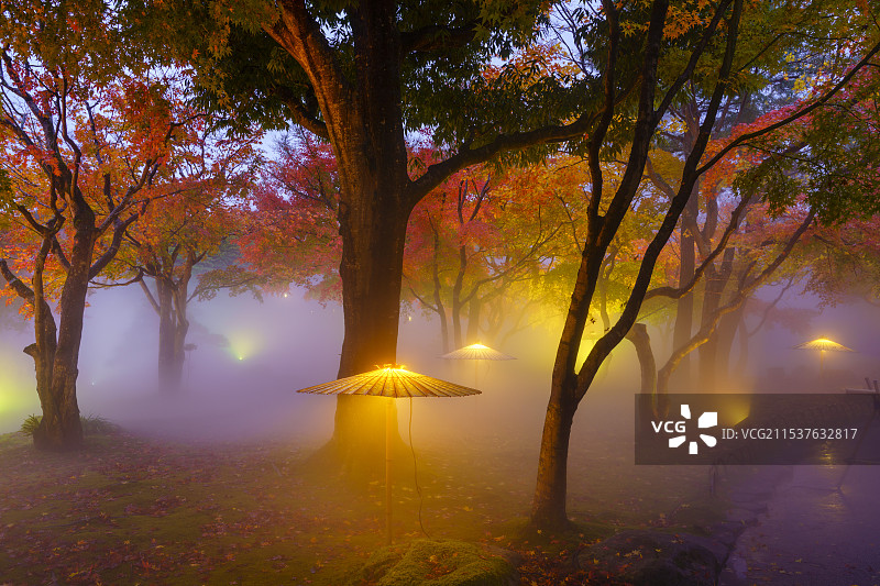 日本岛根县的悠志园秋天景色图片素材