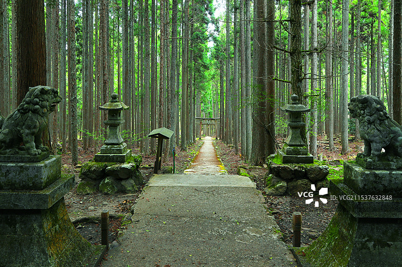 上賀茂神社，日本京都府图片素材
