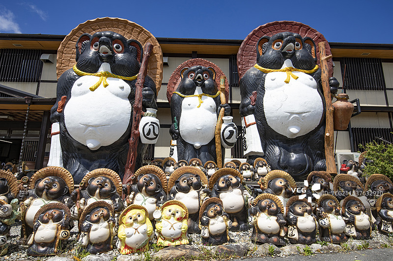 日本滋贺县的狸猫村图片素材