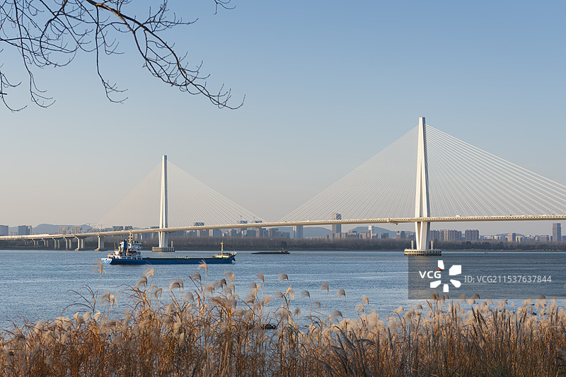 南京-长江-大桥-芦苇丛图片素材