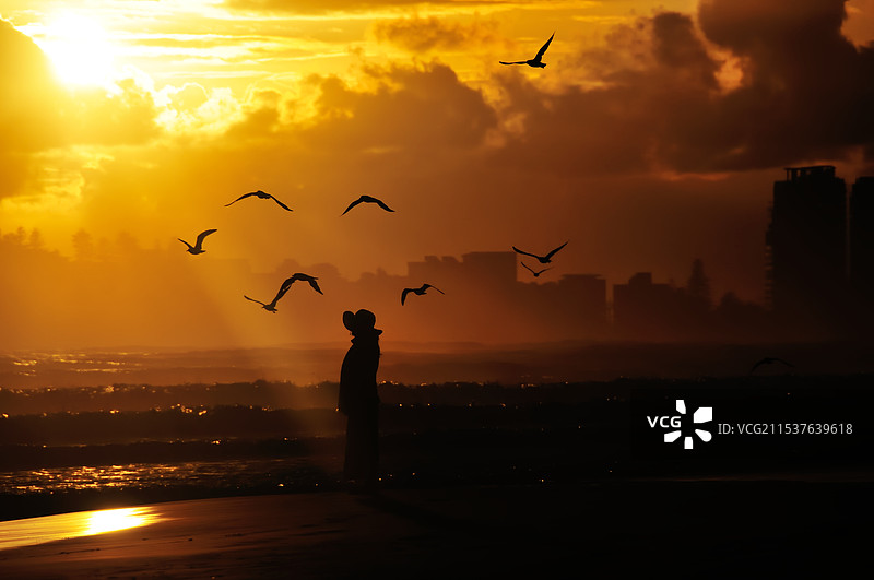 澳洲澳大利亚海边日出图片素材