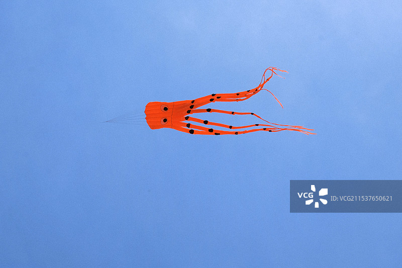 蓝色背景下的章鱼乌贼风筝图片素材