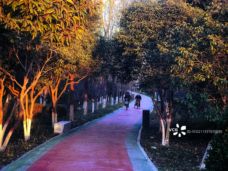 夕阳小道图片素材