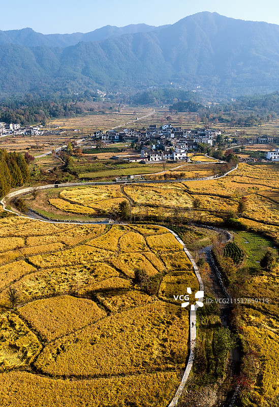 塔川稻田秋色图片素材