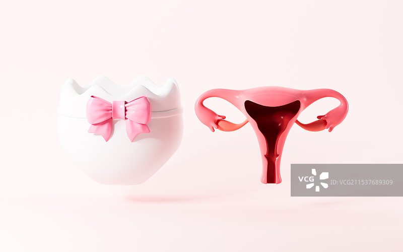 卡通子宫和生理裤模型3D渲染图片素材