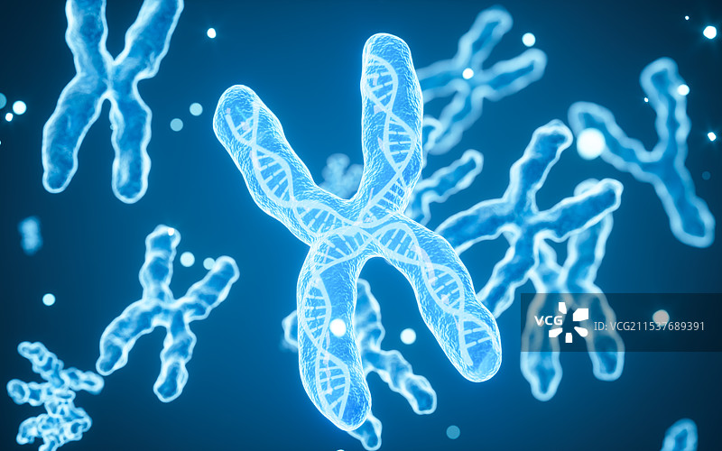人类染色体生物模型3D渲染图片素材