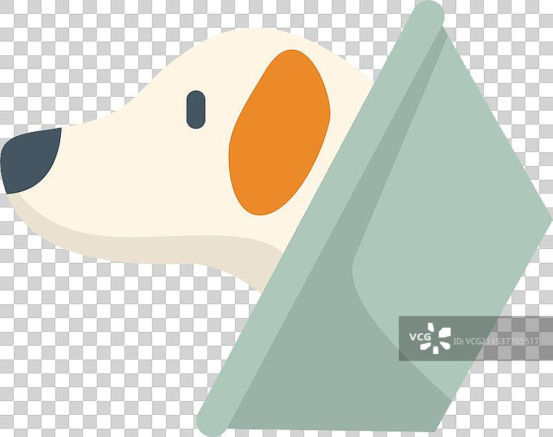 戴着伊丽莎白项圈的狗向右看图片素材