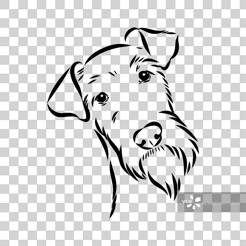 爱尔兰梗犬的狗轮廓素描图片素材
