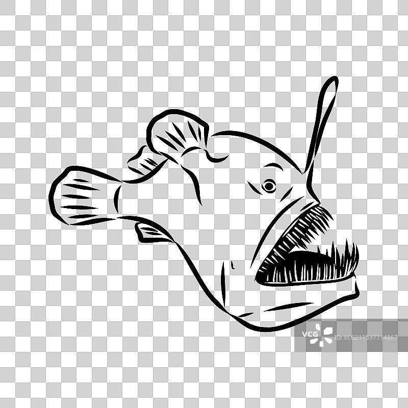 安康鱼（Lophiiformes）插图图片素材
