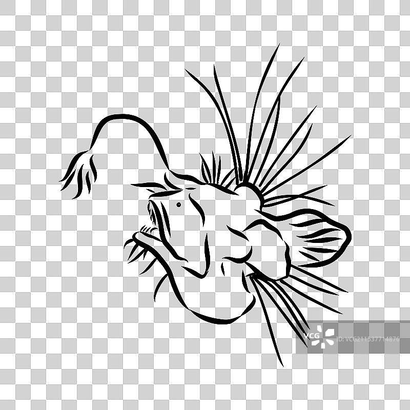 安康鱼（Lophiiformes）插图图片素材