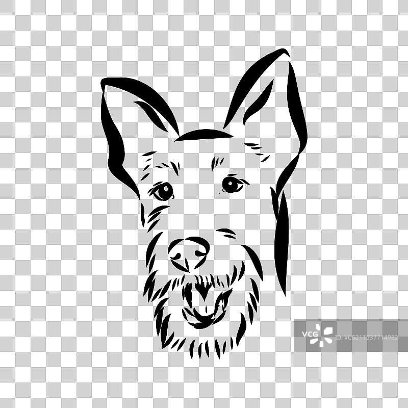 爱尔兰梗犬的狗轮廓素描图片素材