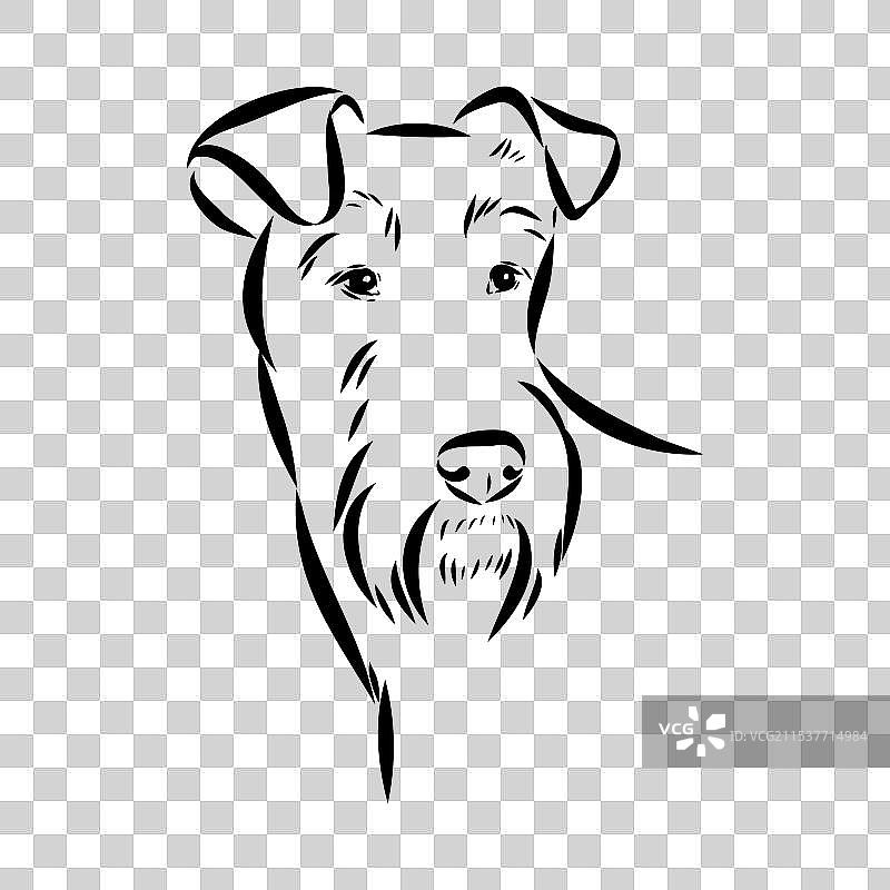 爱尔兰梗犬的狗轮廓素描图片素材