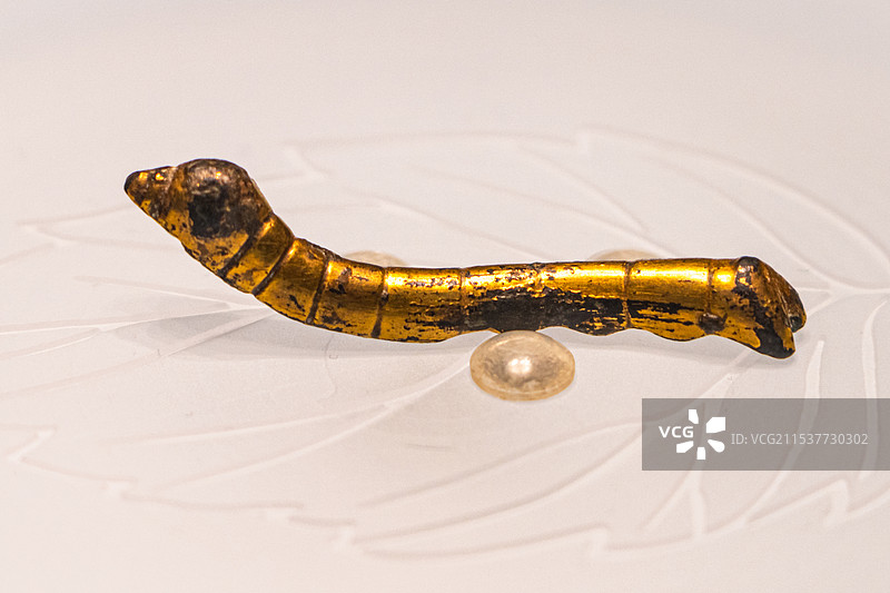 鎏金铜蚕（汉）陕西历史博物馆藏 安康市石泉县出土图片素材