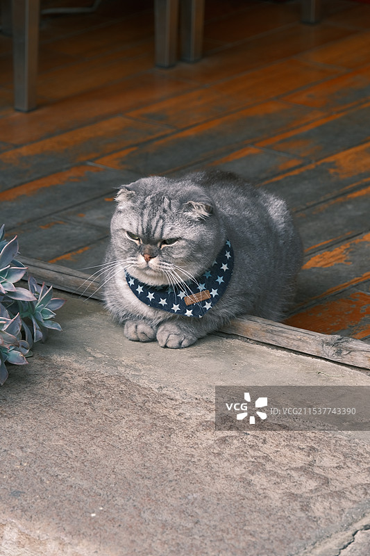 腾冲和顺古镇图片素材