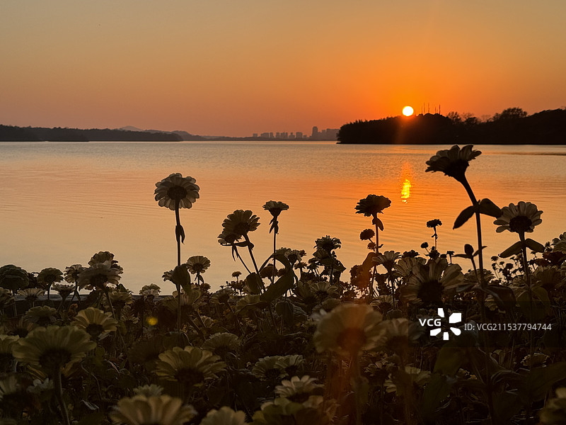 日落生活图片素材