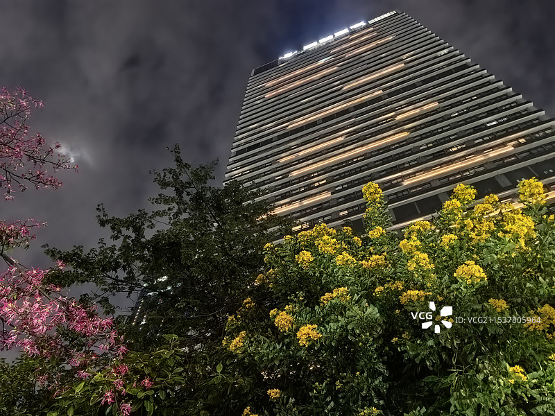 花和办公楼图片素材