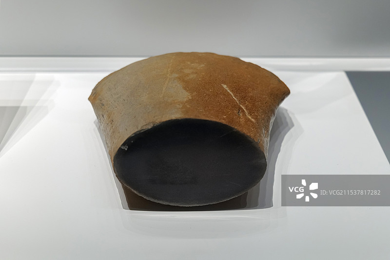 滑齿龙肢骨 侏罗纪 英国出土 山东博物馆“山东龙-穿越白垩纪”展图片素材