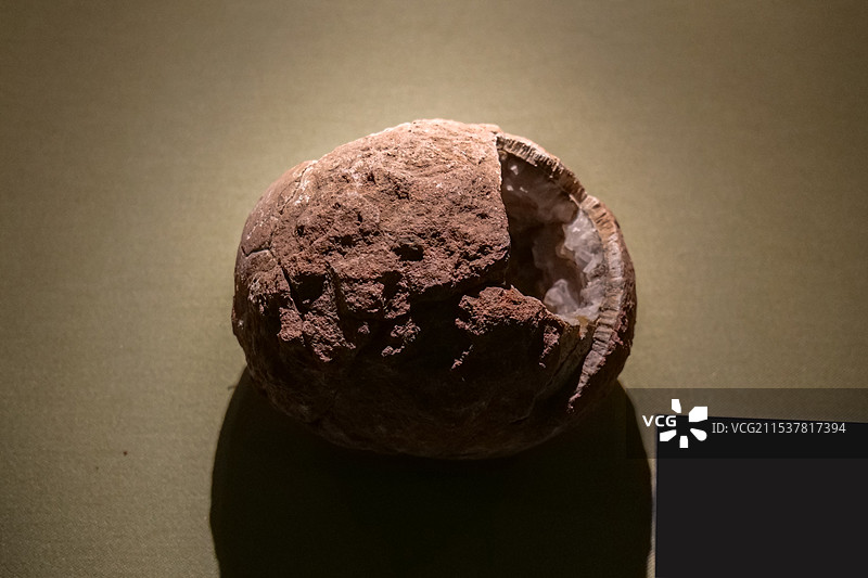 厚皮圆形蛋（恐龙蛋） 晚白垩纪 山东莱阳出土 山东博物馆“山东龙-穿越白垩纪”展图片素材