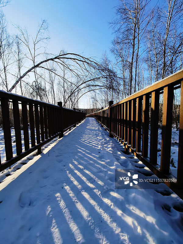 绥芬河爱情谷景区白桦林湿地图片素材
