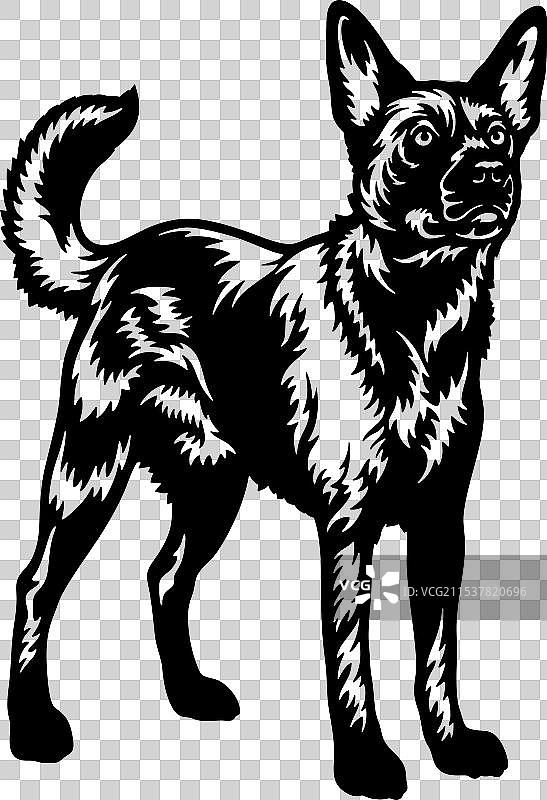 澳大利亚凯尔皮犬品种 - 宠物剪切文件图片素材