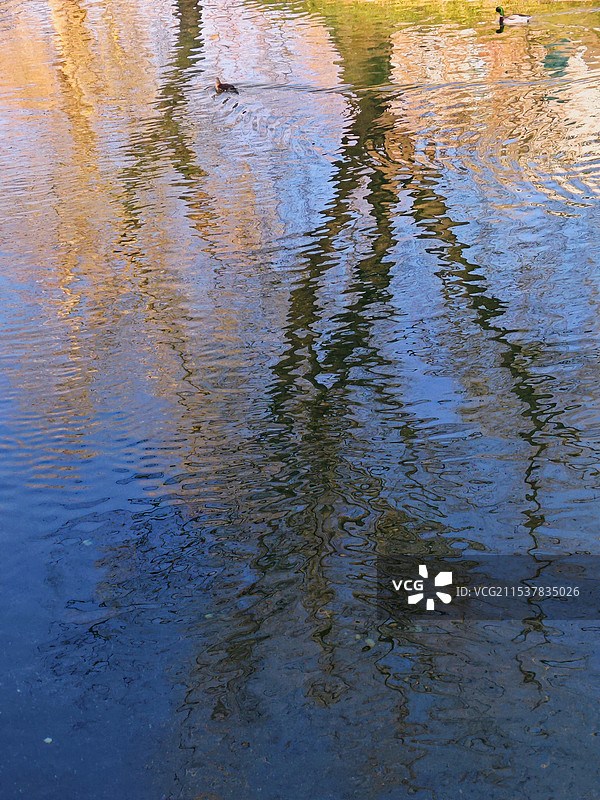 一组倒影油画9-紫竹院公园图片素材