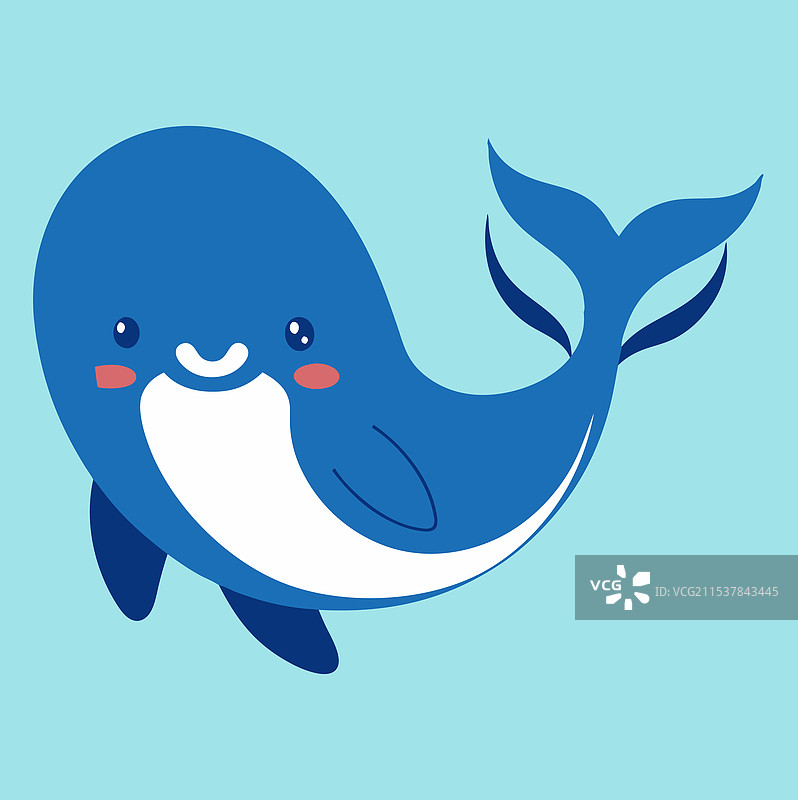 鲸鱼鱼类图像-2图片素材