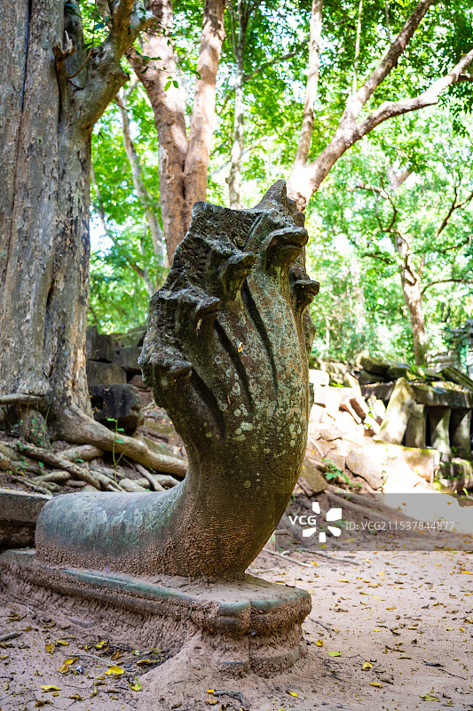柬埔寨崩密列中的那伽蛇神雕塑图片素材