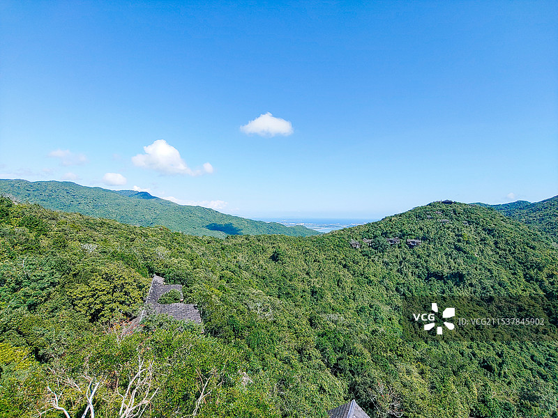 亚龙湾热带雨林森林公园图片素材