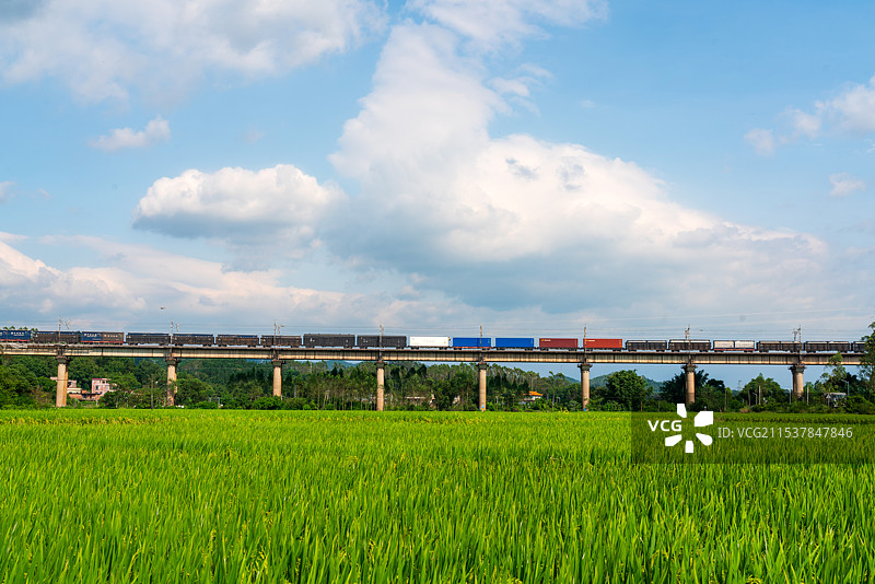 穿梭在稻田之上的列车图片素材