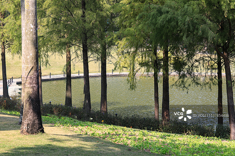 海滨公园图片素材