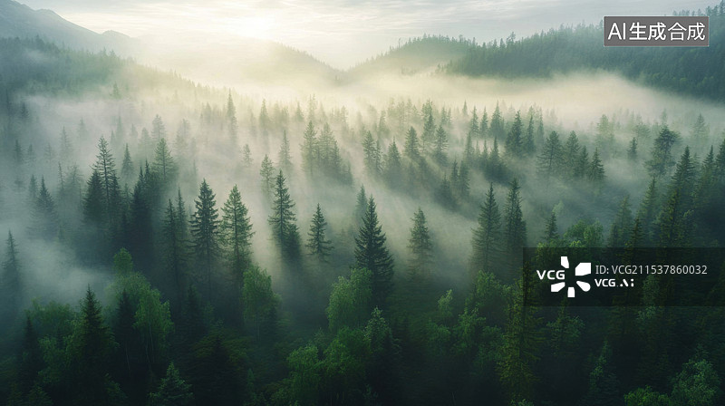【AI数字艺术】郁郁葱葱的绿色森林鸟瞰图图片素材