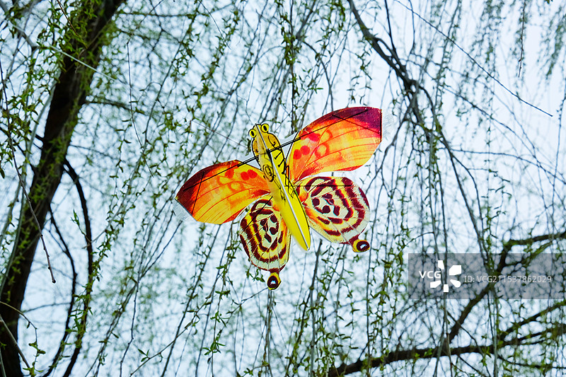 春天里的蝴蝶风筝图片素材
