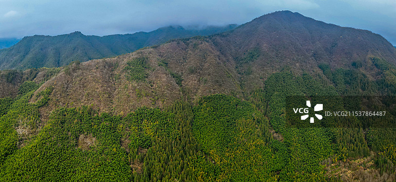 塔川 徽派建筑 安徽 古村 写生 油菜花 森林公园 黄山图片素材