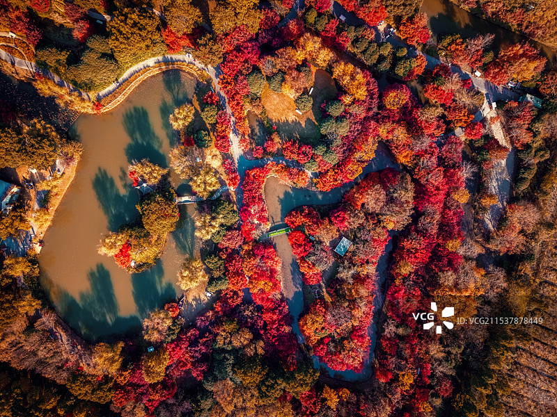 花开海上秋图片素材