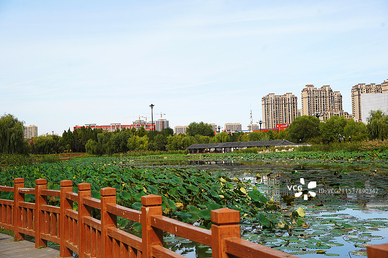 山东省德州市齐河县大清河图片素材