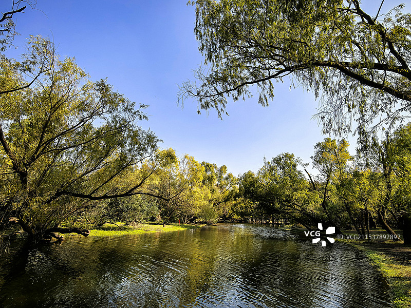 清澈的湖水和蓝天美景图片素材