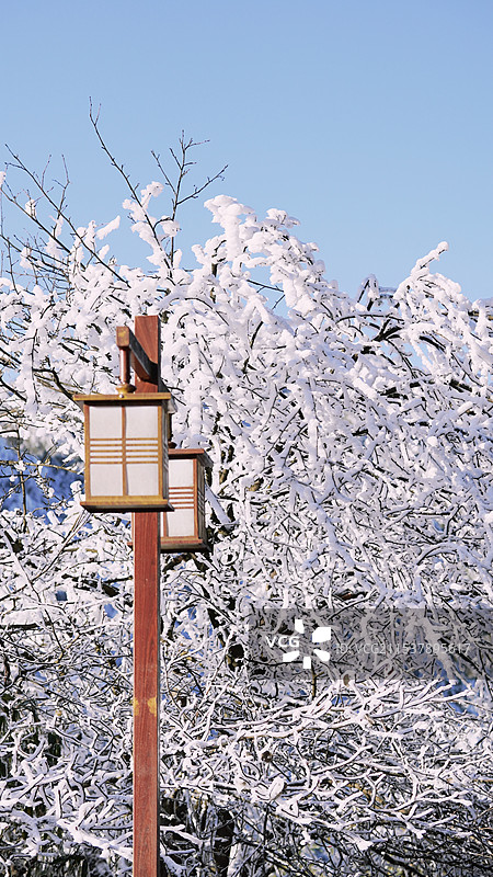 冬天的雪景图片素材