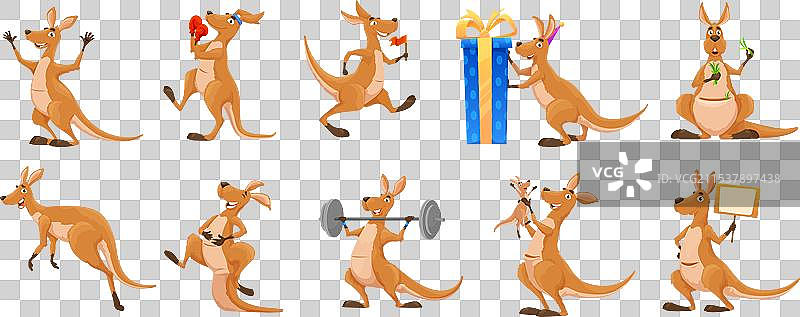 可爱的卡通袋鼠角色，澳大利亚动物图片素材