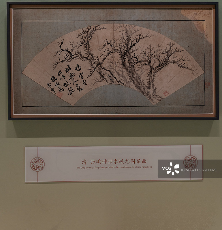 清代 张鹏翀枯木蛟龙图扇面图片素材